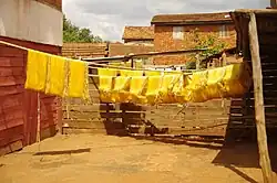 Yellow silk fibres hanging on a line in the sun