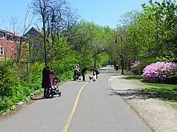A rail trail in a suburban area