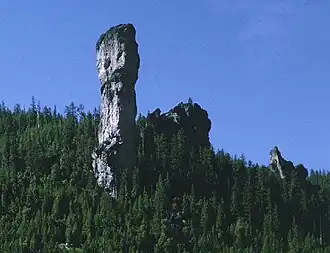 Steins Pillar.