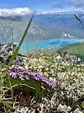 The summit of Cecil Rhode Mountain with Kenai Lake in the background.