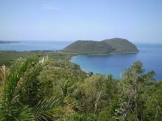 Habitat of Sphaerodactylus fantasticus fuga in Cabrits National Park, north-western Dominica.