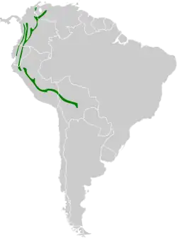 Map of South America, with green shading indicating that the species is present in the Andes
