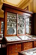 Cabinet 6 with nautilus shells