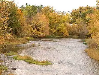 A midsized river flowing through a yellow-leaved forest