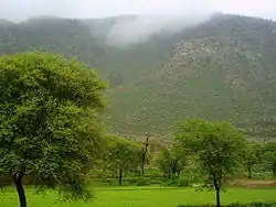 Thill Sharif, Arbab Raja