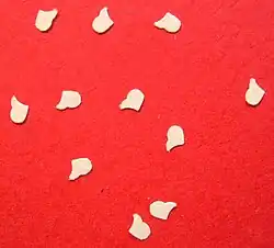 Chad produced by a railroad ticket punch.