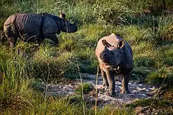 A lake with tree trunks in the water.