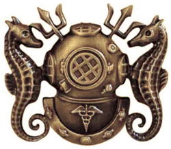 USN Diving Medical Officer Badge