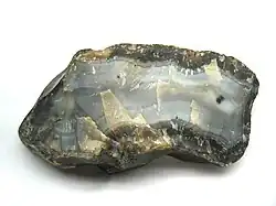 A chunk of agate in grayish and golden colors with the split face showing internal fortification banding along with a black dendritic formation.
