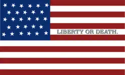 Digital reconstruction of the flag carried by a group of elderly pioneers, 1849