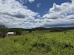 Open field in the park