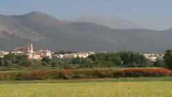 Colegiata SMaria (3)