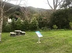 View of grassy area near riverbank