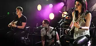 Sick Puppies performing in 2013