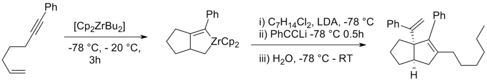 Zirconocyclisation 2006