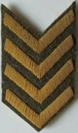 Four Overseas Chevrons.