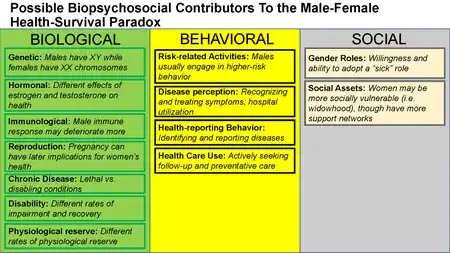 Figure illustrating the biopsychosocial model for the male-female health survival paradox.