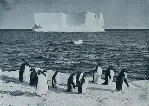 Photo of a small tabular iceberg in open water, with penguins on shore in the foreground