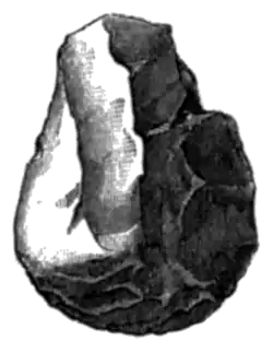 Archaeologia, volume 38 part 2, 200c.png