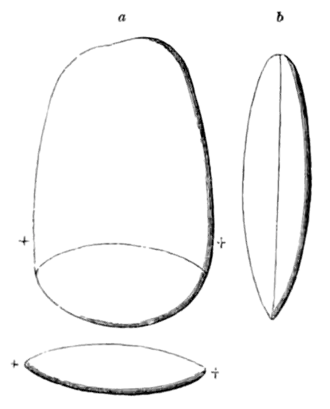 Archaeological Journal, Volume 11, 0148.png