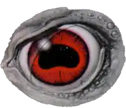 Illustration of eye with red iris.