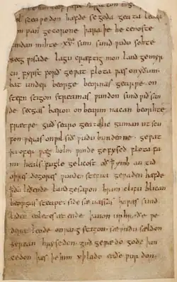 Beowulf manuscript.