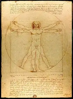 Leonardo de Vinci's Vitruvian Man - a drawing of the proportions of the human body.