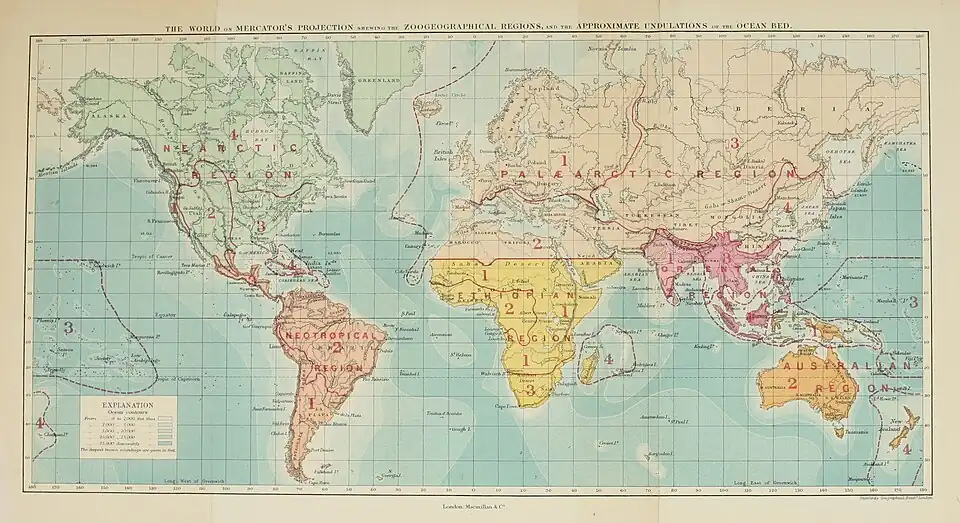 Zoogeographical Regions