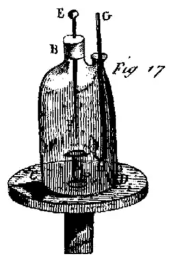Plate VII. Fig. 17