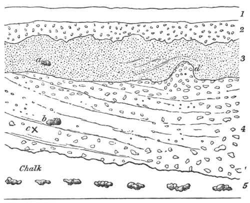 Geological Evidences of the Antiquity of Man Fig. 21.png
