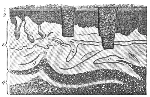 Geological Evidences of the Antiquity of Man Fig. 21a.png