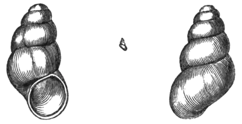 Geological Evidences of the Antiquity of Man Fig. 34.png