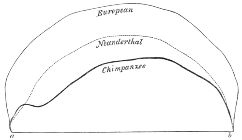 Geological Evidences of the Antiquity of Man Fig. 4.png