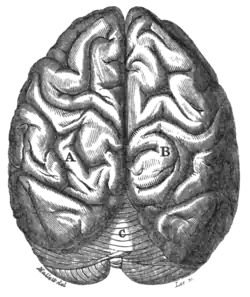 Geological Evidences of the Antiquity of Man Fig. 54.png