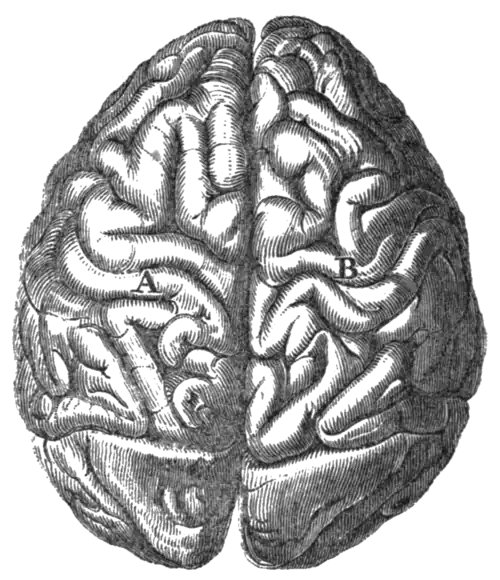Geological Evidences of the Antiquity of Man Fig. 57.png