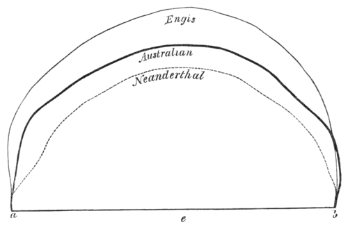 Geological Evidences of the Antiquity of Man Fig. 6.png