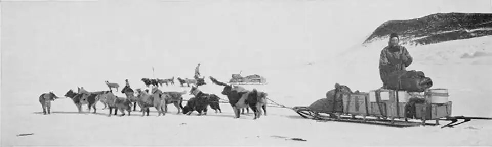 Photo of two dogsleds with their teams harnessed