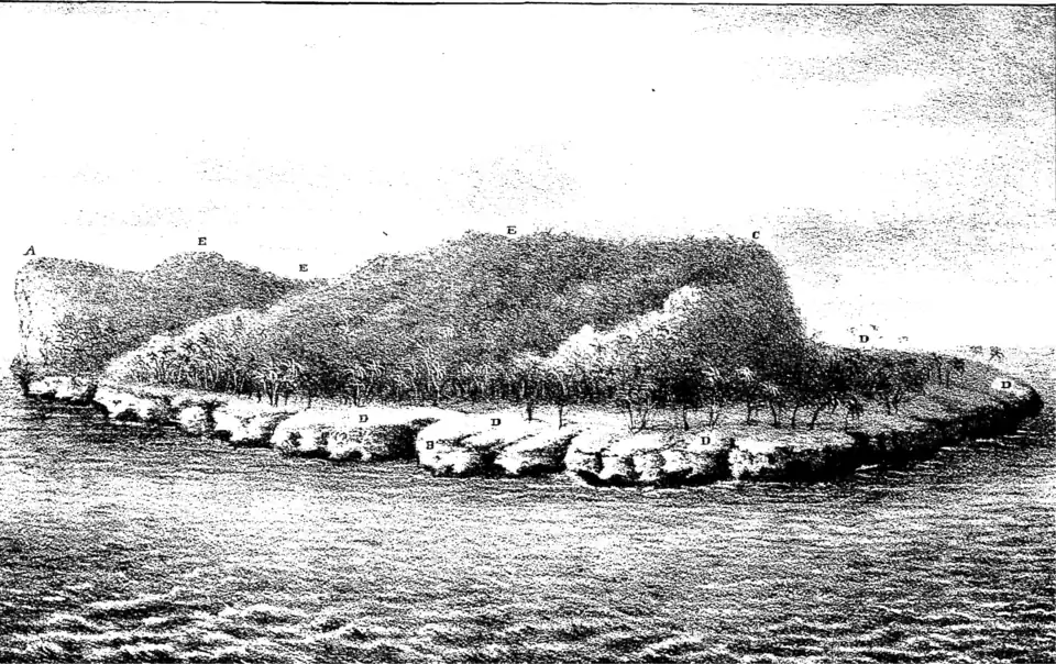 A side-view drawing of Navassa Island, showing several trees interior to a rocky coast