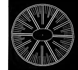 PSM V13 D327 Cross section of a polyp.jpg