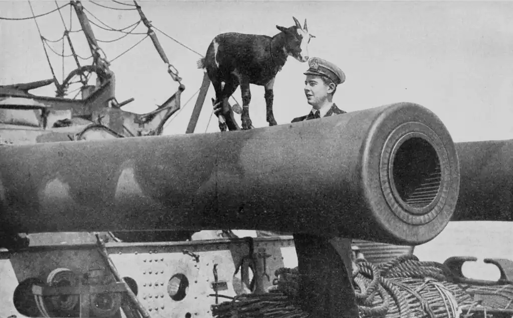 image of a twelve inch gun