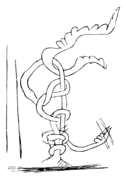 Rude Stone Monuments 0271b.png