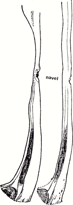 FIG. 13.
