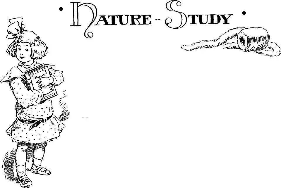 "Nature Study"