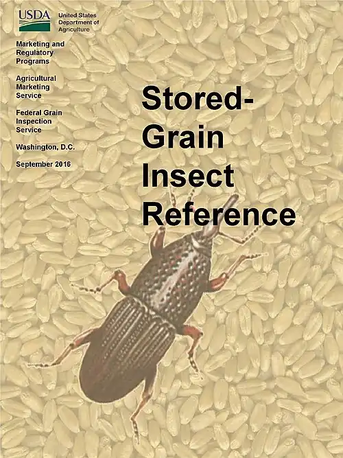 Stored-Grain Insect Reference