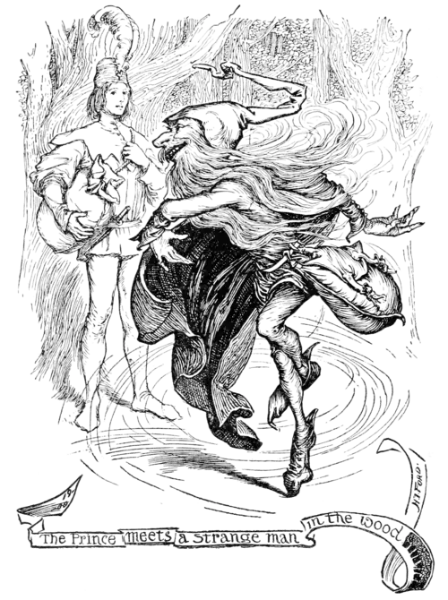 The Prince meets a strange Man in the Wood