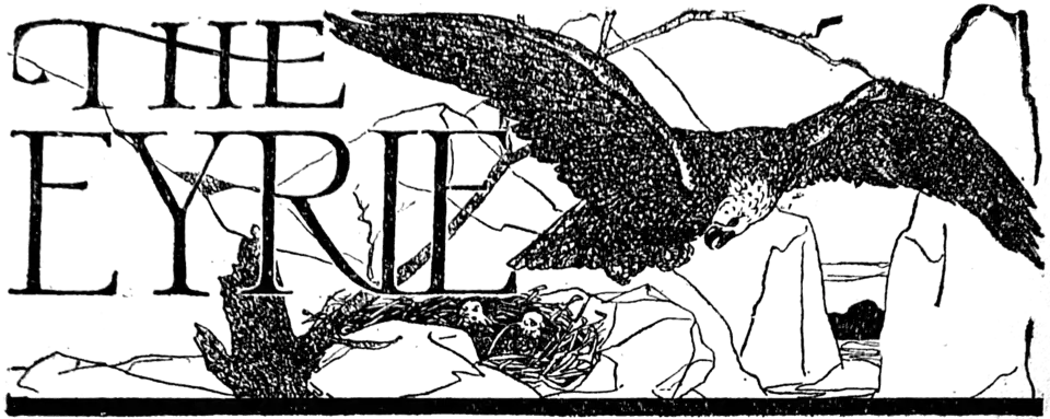 WeirdTalesv36n1pg124 The Eyrie