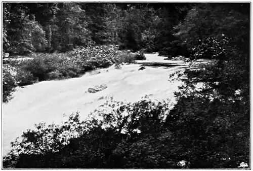 Falls on the Tongue River.