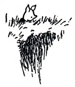 Piglet standing in a patch of grass