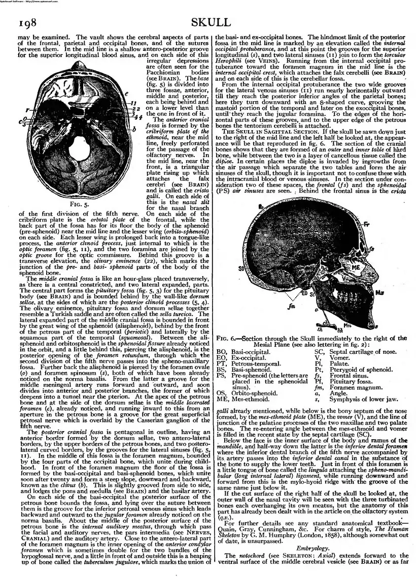 EB1911 - Volume 25.djvu