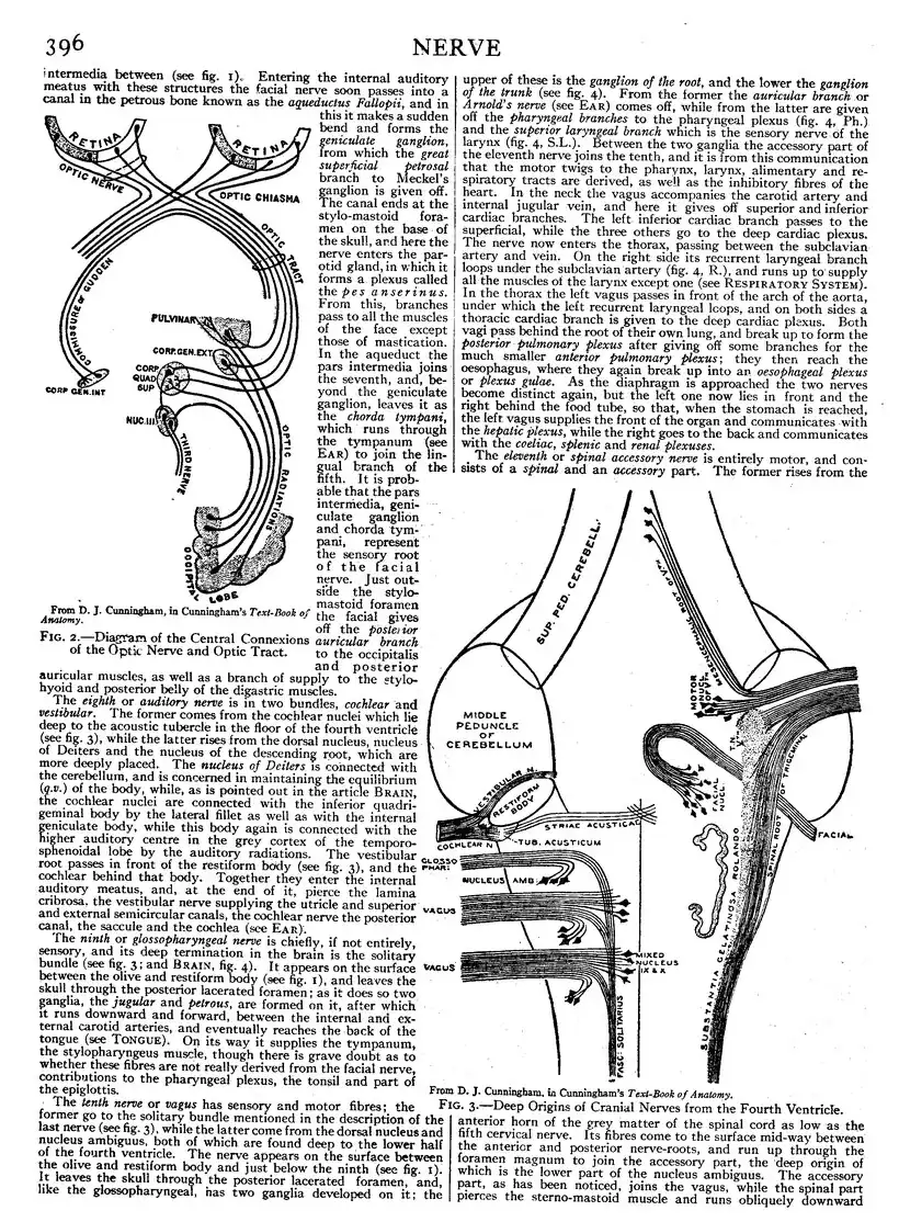 EB1911 - Volume 19.djvu